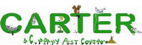 Dallas Fort worth pest control 