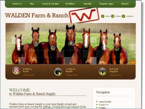 Another country store website run by our increasingly popular Content Management System. This client can now have their PR rep update and keep track of...