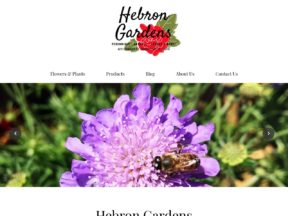Hebron Gardens is a plant nursery at an old location with a new lease on life.  A garden center with everything a homeowner or landscaper...